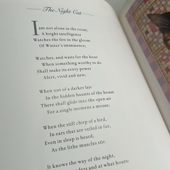 Vintage 1989 Glorious Cats The Paintings By Lesley Anne Ivory Hardcover Book - Picture 13 of 16